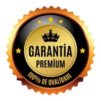 Gold Modern Premium Warranty Logo 2.jpg